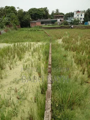 ভূমি বিক্রয় ফতেয়াবাদ, চট্টগ্রাম।