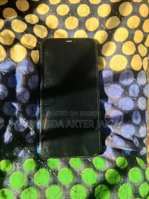 অ্যাপল আইফোন ১২ প্রো ম্যাক্স ২৫৬ জিবি ব্লু