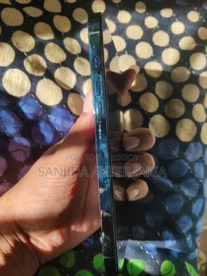 অ্যাপল আইফোন ১২ প্রো ম্যাক্স ২৫৬ জিবি ব্লু