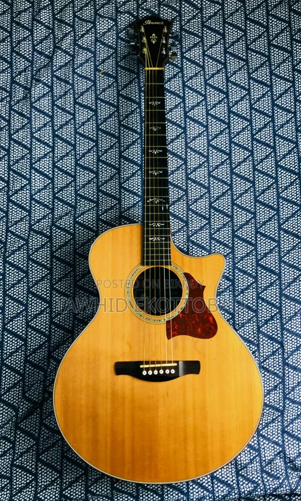 Ibanez Ae510-Nt Guitar