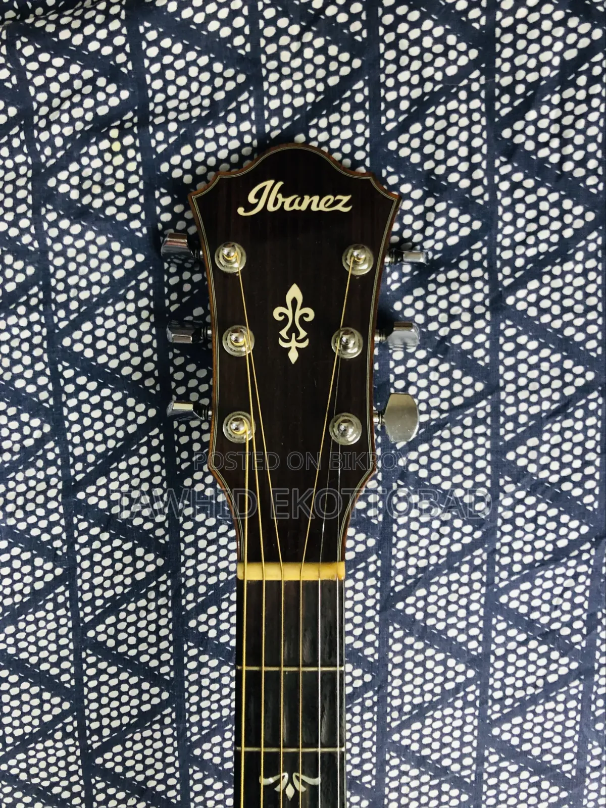 Ibanez Ae510-Nt Guitar