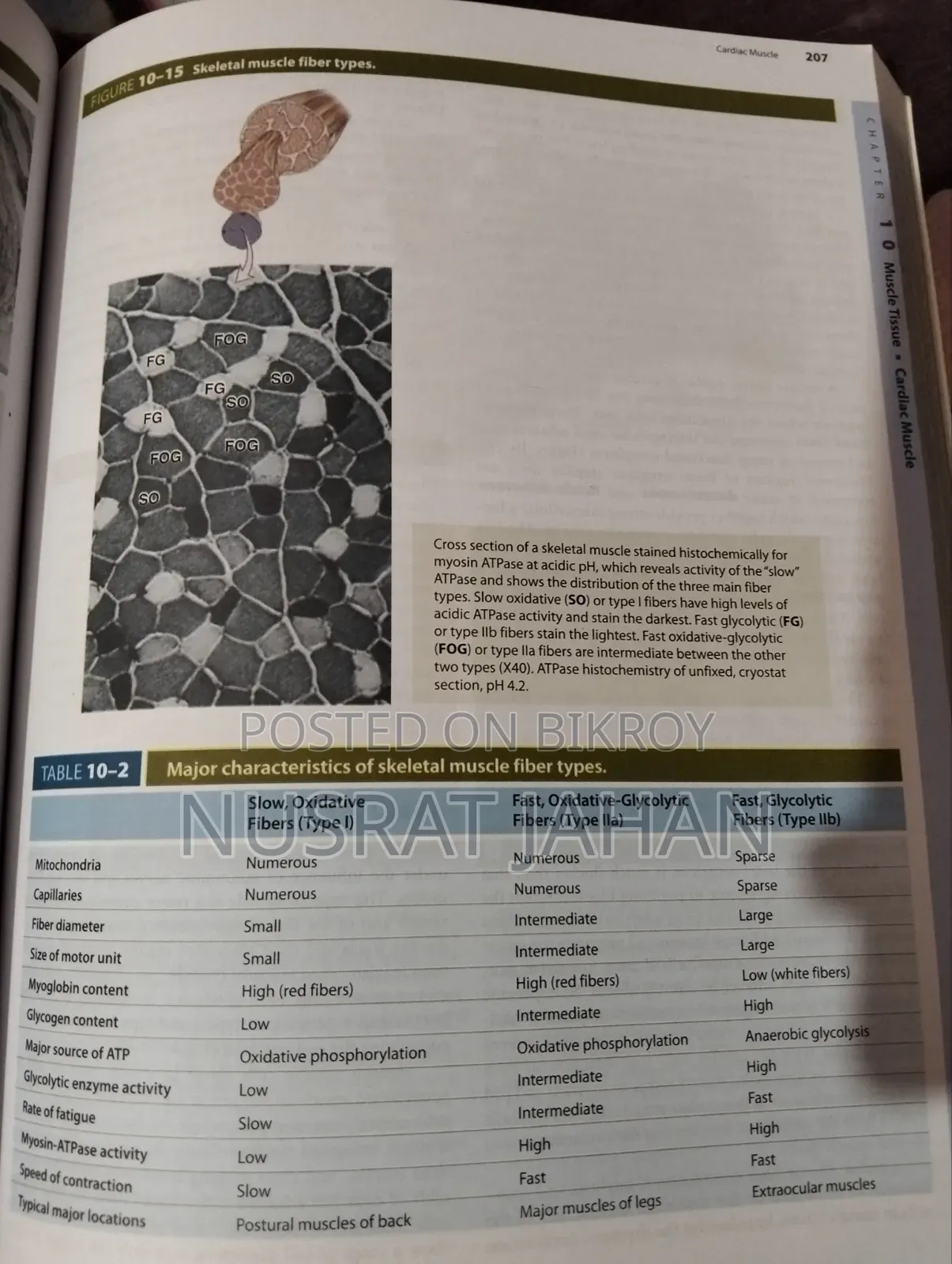 Junqueira's Basic Histology Text Atlas