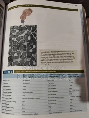 Junqueira's Basic Histology Text Atlas