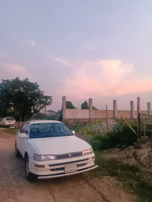 Toyota Corolla 1995 White