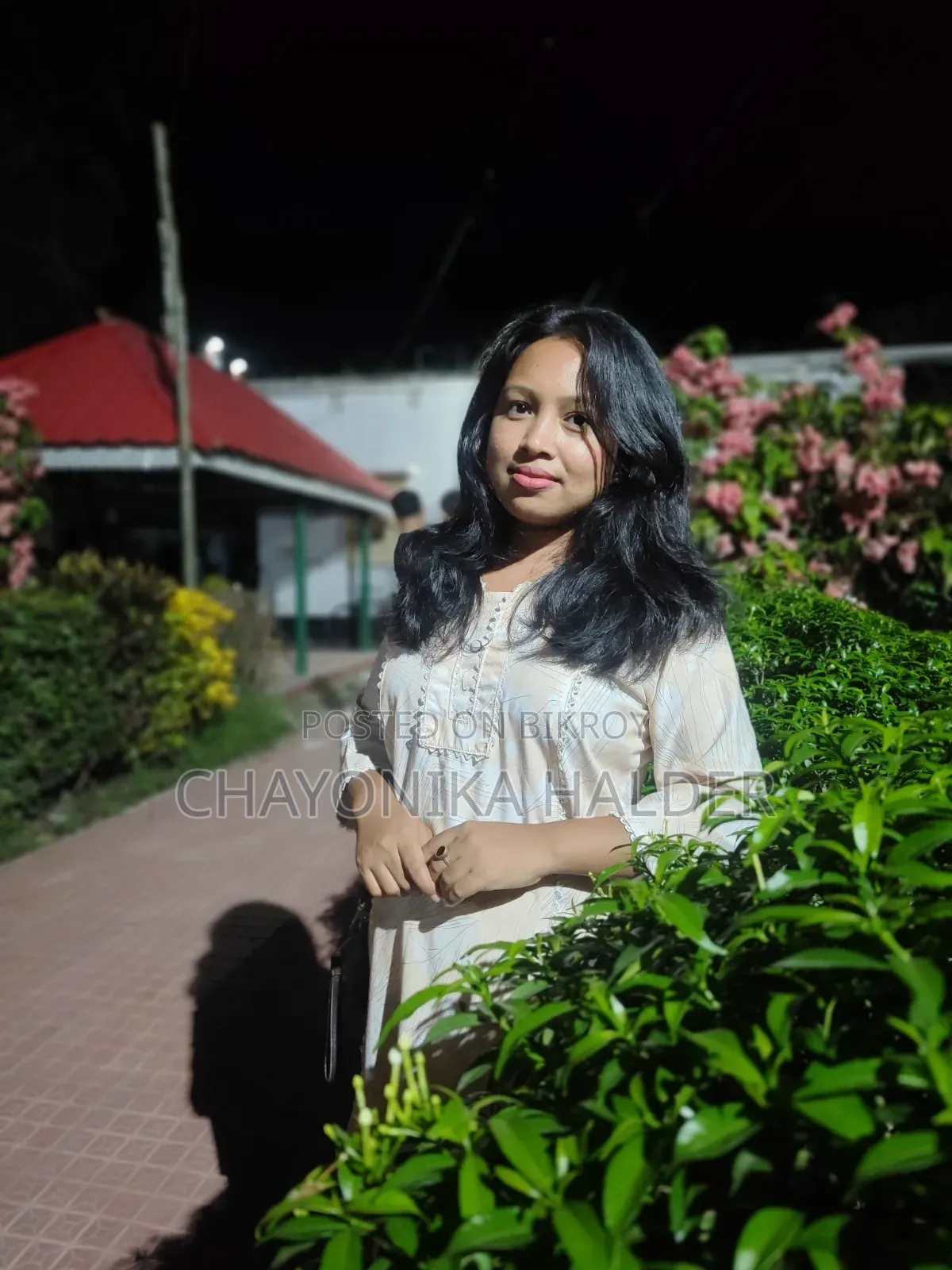 ১-৩ মাস বয়সী মেয়ে পিওরব্রেড পোমেরানিয়ান
