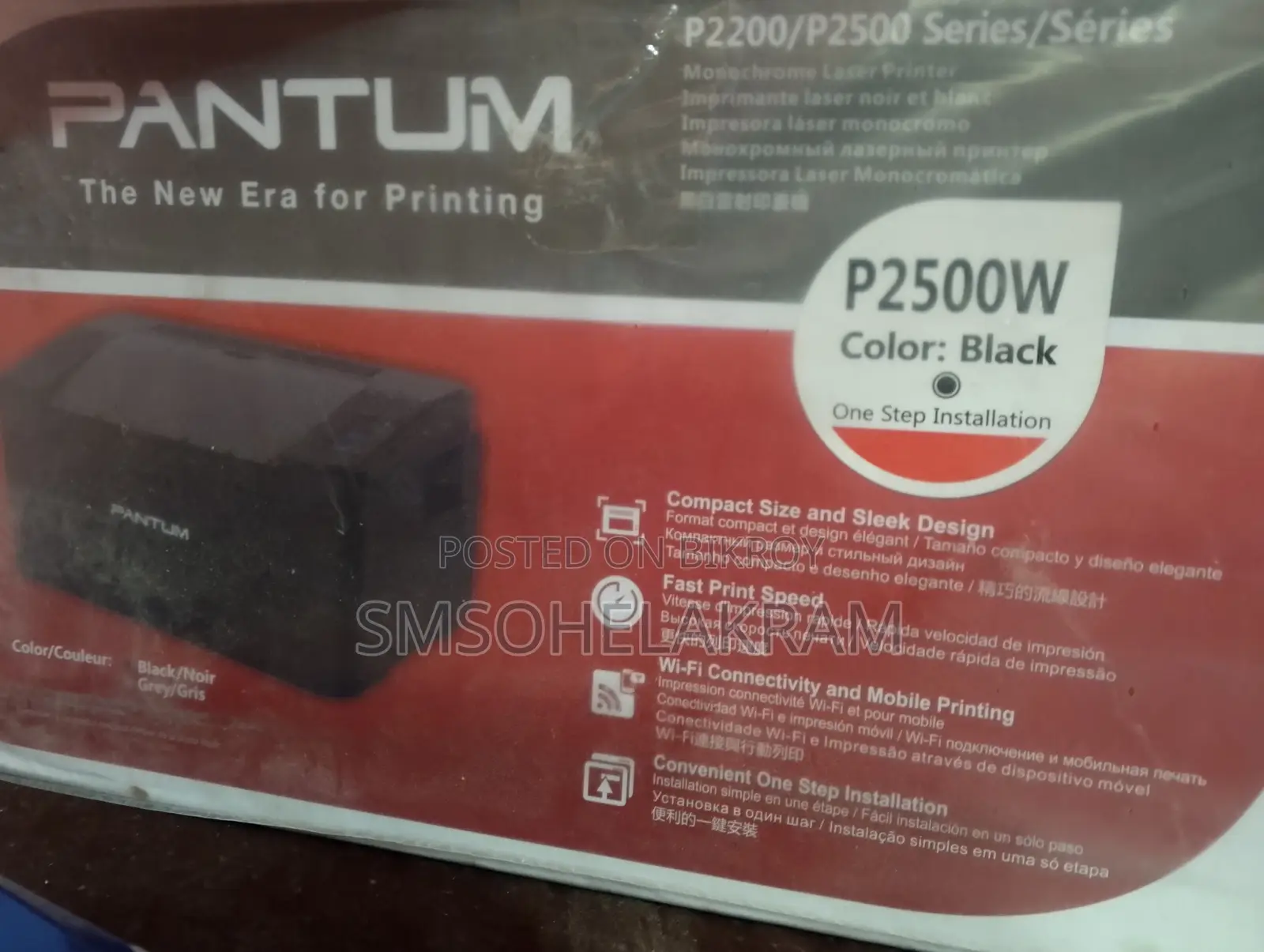 Printer Pantum P2500w