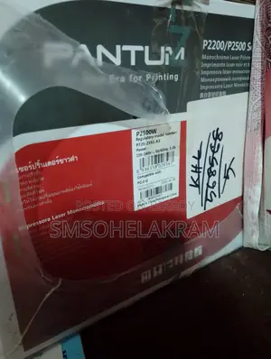 Printer Pantum P2500w
