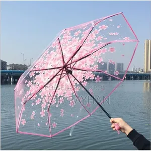 Transparent Umbrella