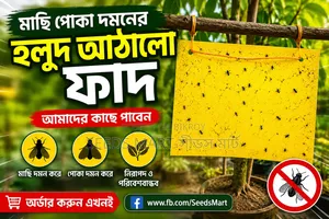 হলুদ আঠালো ফাদ