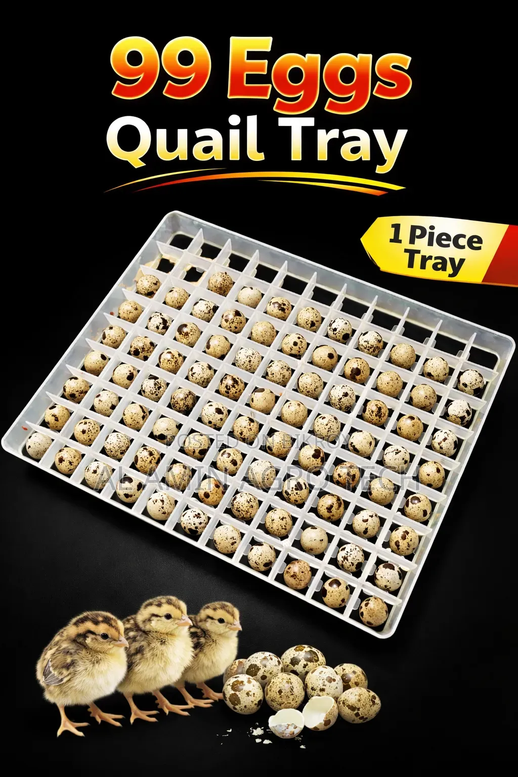 99 Eggs Quail Tray | ৯৯ ডিমের কোয়েল ইনকিউবেটর ট্রে