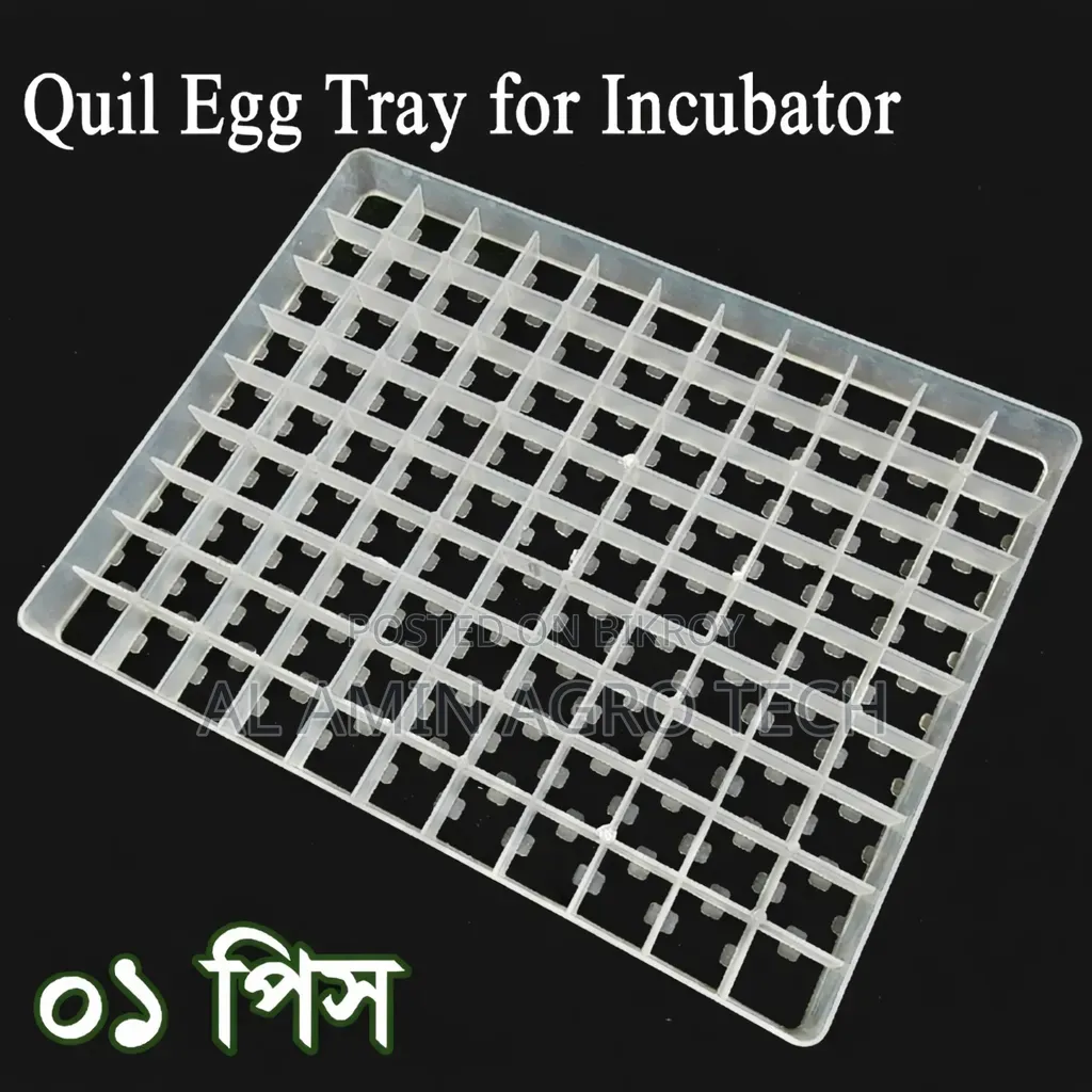 99 Eggs Quail Tray | ৯৯ ডিমের কোয়েল ইনকিউবেটর ট্রে