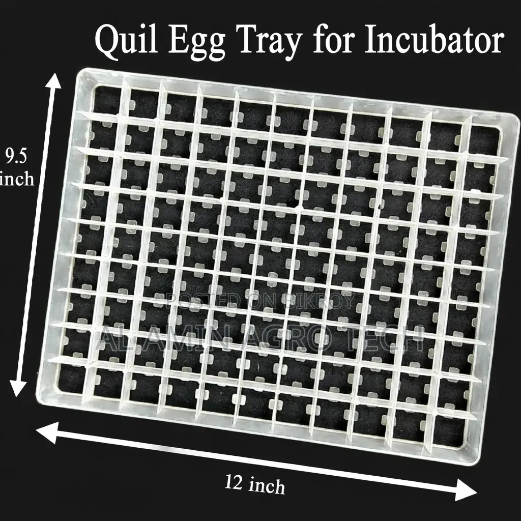 99 Eggs Quail Tray | ৯৯ ডিমের কোয়েল ইনকিউবেটর ট্রে