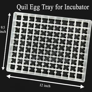 99 Eggs Quail Tray | ৯৯ ডিমের কোয়েল ইনকিউবেটর ট্রে