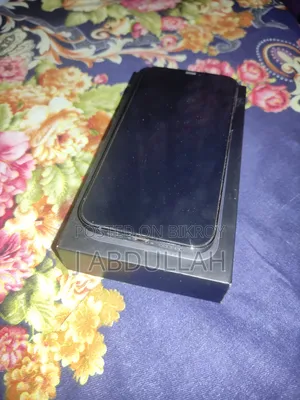 অ্যাপল আইফোন ১২ প্রো ম্যাক্স ২৫৬ জিবি ব্লু