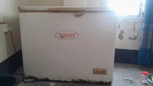 Singer Freez