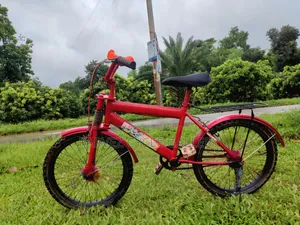 Dragon Ball Z 20" Full Serviced Kids Cycle – Best Gift Ever