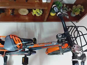 Phoenix Bicycle Sell