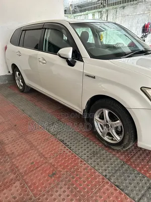 Toyota Corolla Fielder 2013 Pearl