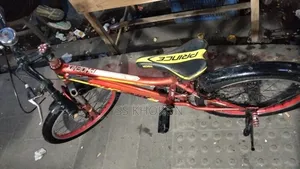 The bicycle is absolutely fresh, like new, no issues