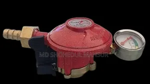 Gas Safety Regulator