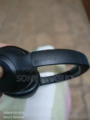 Sony Wh Xb900n