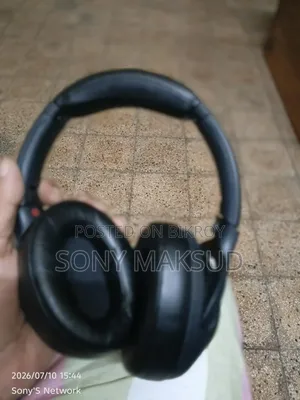 Sony Wh Xb900n