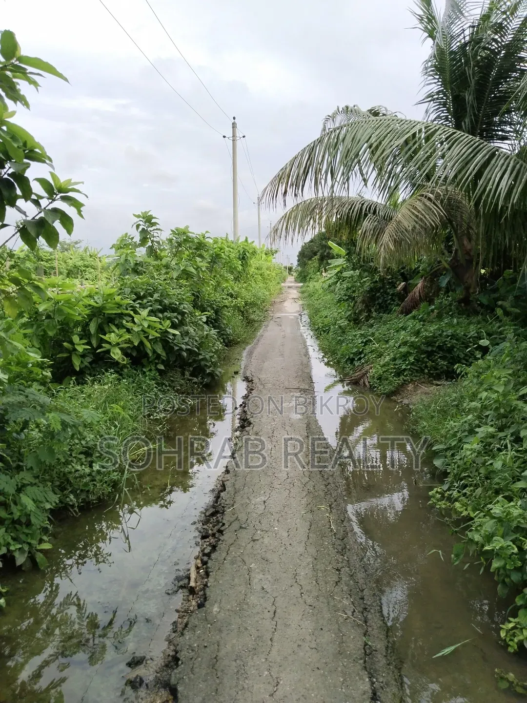 5 Katha Plot Sector #20, Purbachal, Dhaka