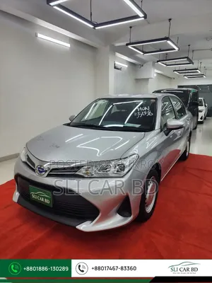 Toyota Axio 2022 Silver