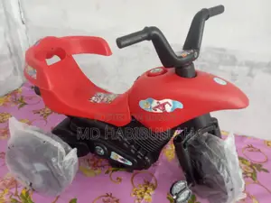 শিশুদের Rock Rider