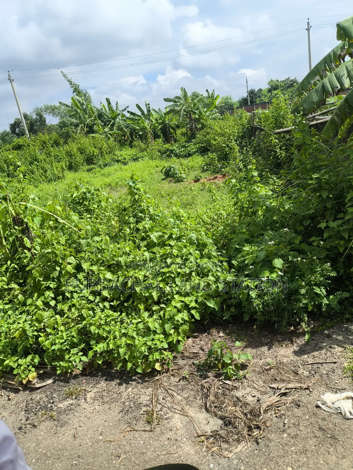 49.69 Katha land for sale near Purbachal to Jolsiri 150-foot road