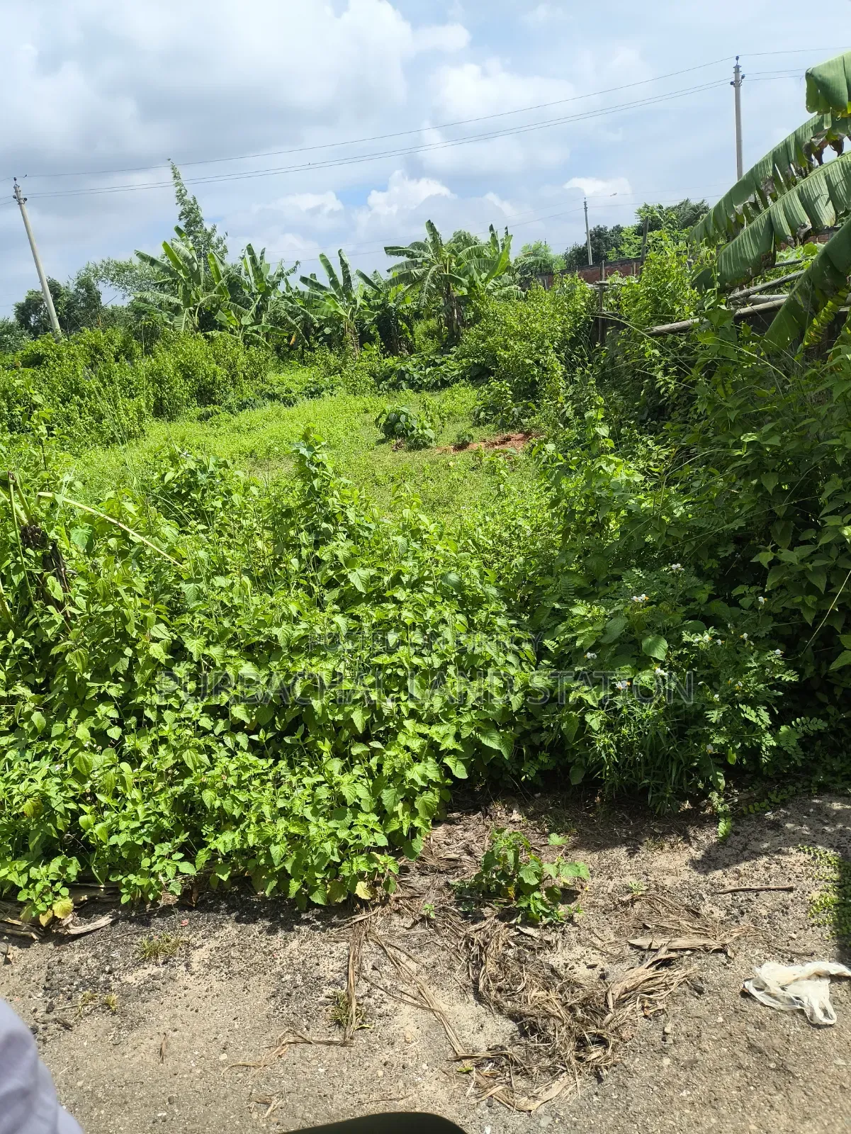 49.69 Katha land for sale near Purbachal to Jolsiri 150-foot road