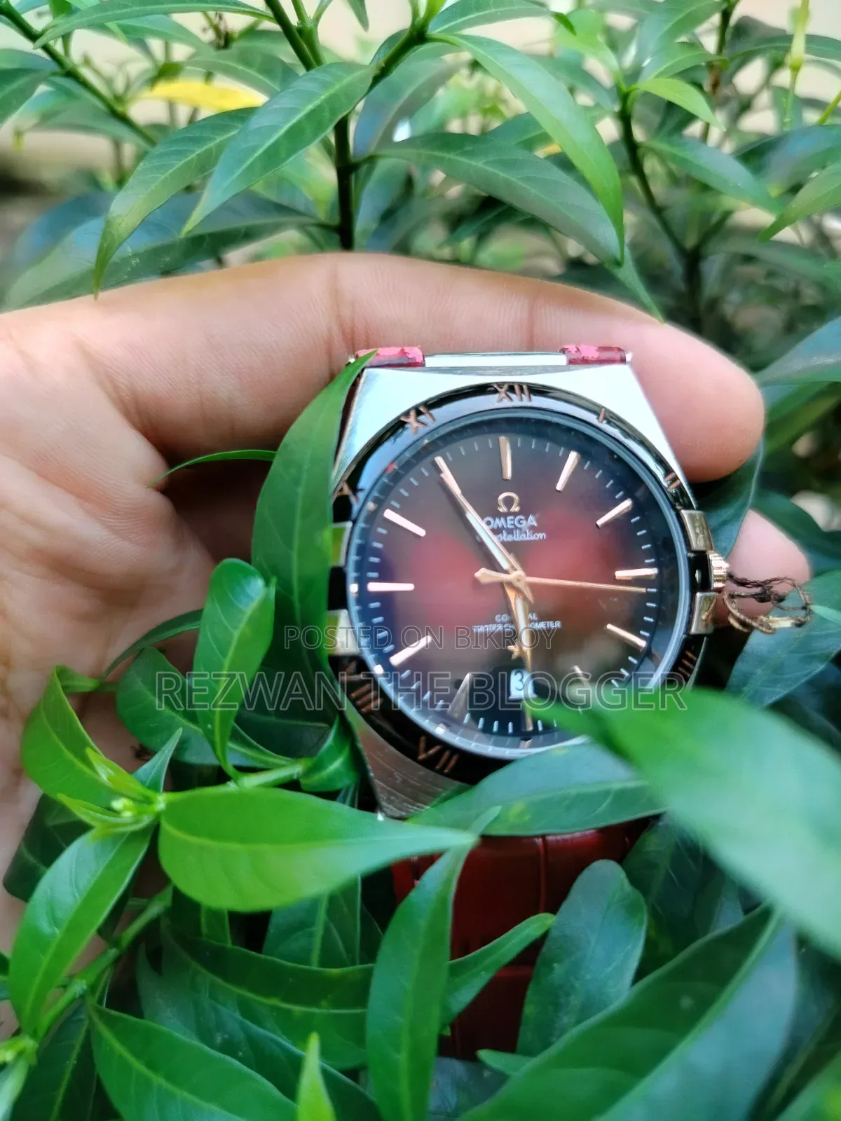 Omega Constellation Automatic Premium Watch (Maroon Dial)