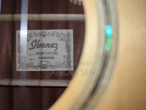Ibanez Acoustic Guitar