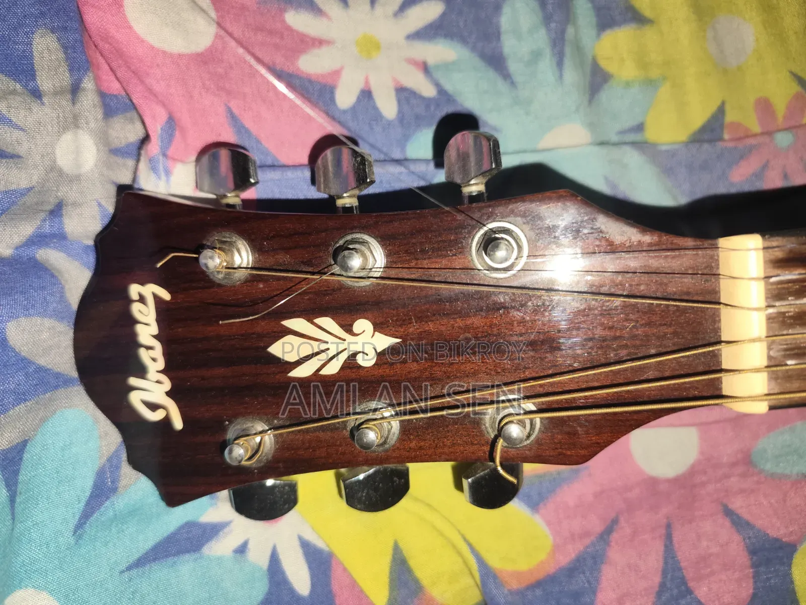 Ibanez Acoustic Guitar