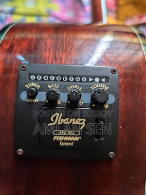 Ibanez Acoustic Guitar