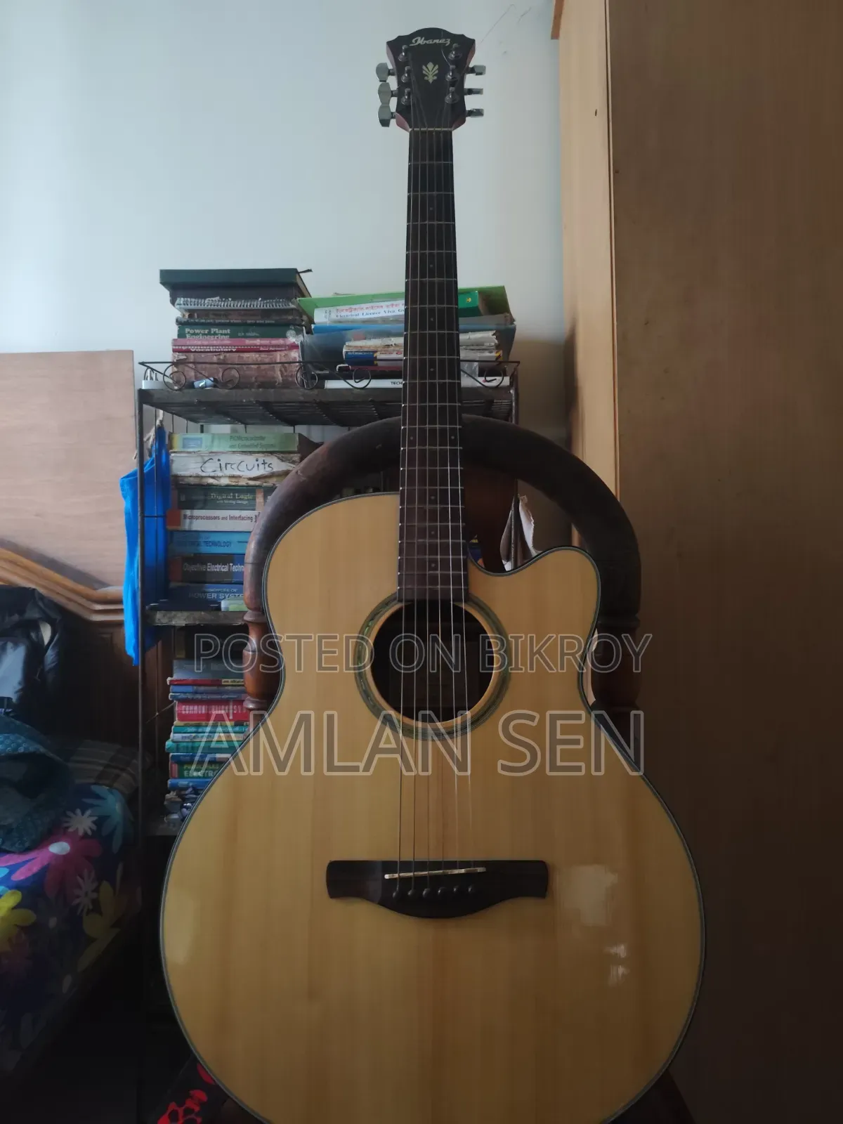 Ibanez Acoustic Guitar