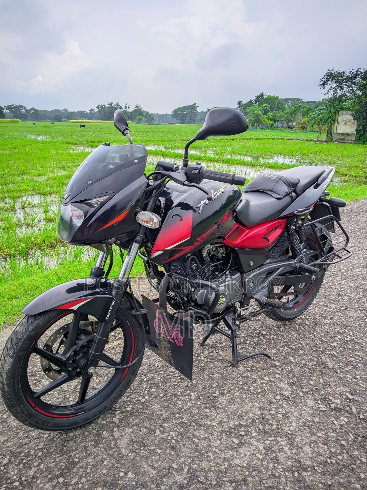 বাজাজ পালসার ১৫০ ২০১৯ ব্ল্যাক