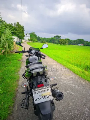 বাজাজ পালসার ১৫০ ২০১৯ ব্ল্যাক