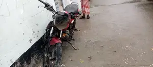 Bajaj XCD 125 2007 Red