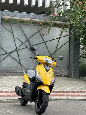 রানার কাইট + ১১০ ২০২৬ হলুদ