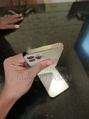 অ্যাপল আইফোন ১২ প্রো ১২৮ জিবি রোস গোল্ড