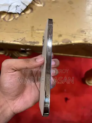 অ্যাপল আইফোন ১২ প্রো ১২৮ জিবি রোস গোল্ড