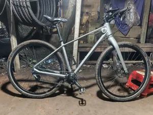 Bmw Bicycle