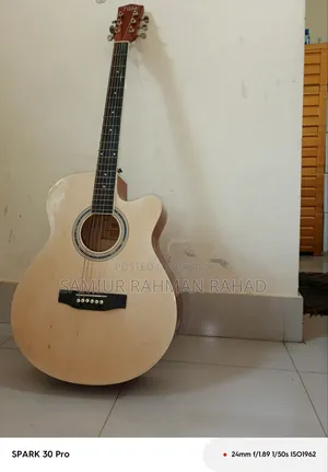Original and Brand New [Tgm] Guitar With Bag.