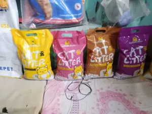 ক্যাট লিটার