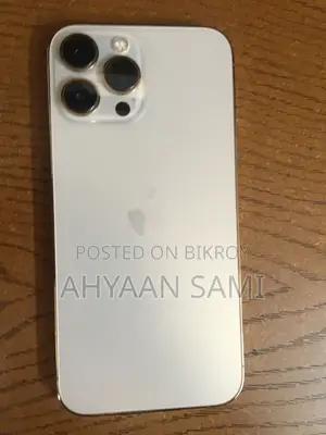 অ্যাপল আইফোন ১৩ প্রো ম্যাক্স ১ টিবি গোল্ড