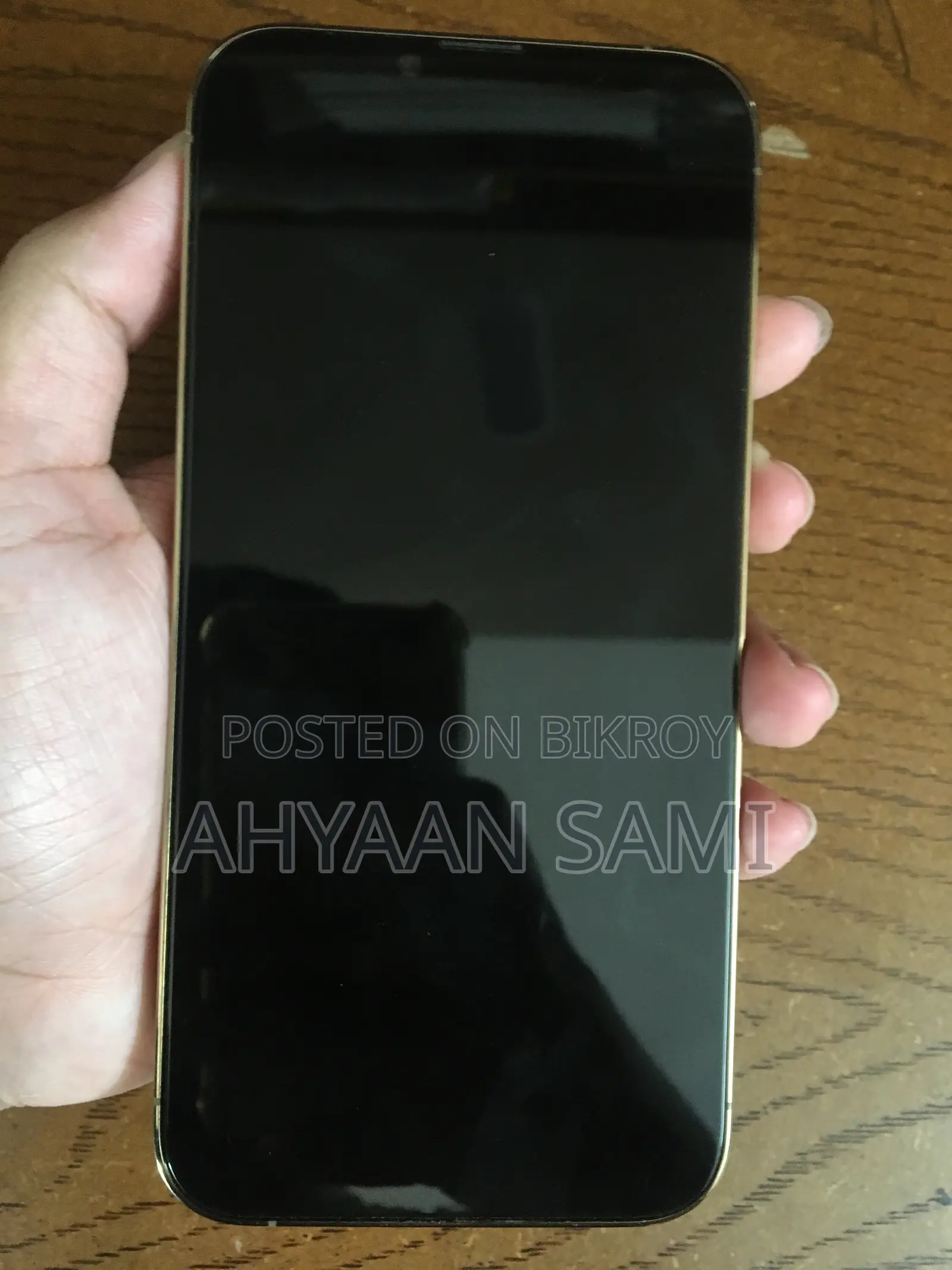 অ্যাপল আইফোন ১৩ প্রো ম্যাক্স ১ টিবি গোল্ড