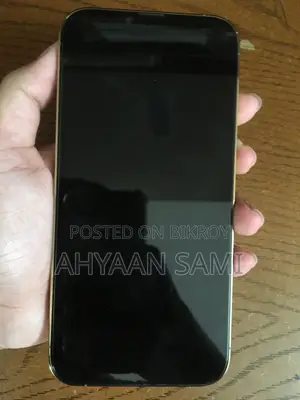 অ্যাপল আইফোন ১৩ প্রো ম্যাক্স ১ টিবি গোল্ড