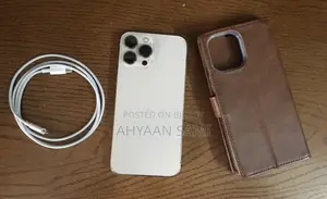 অ্যাপল আইফোন ১৩ প্রো ম্যাক্স ১ টিবি গোল্ড