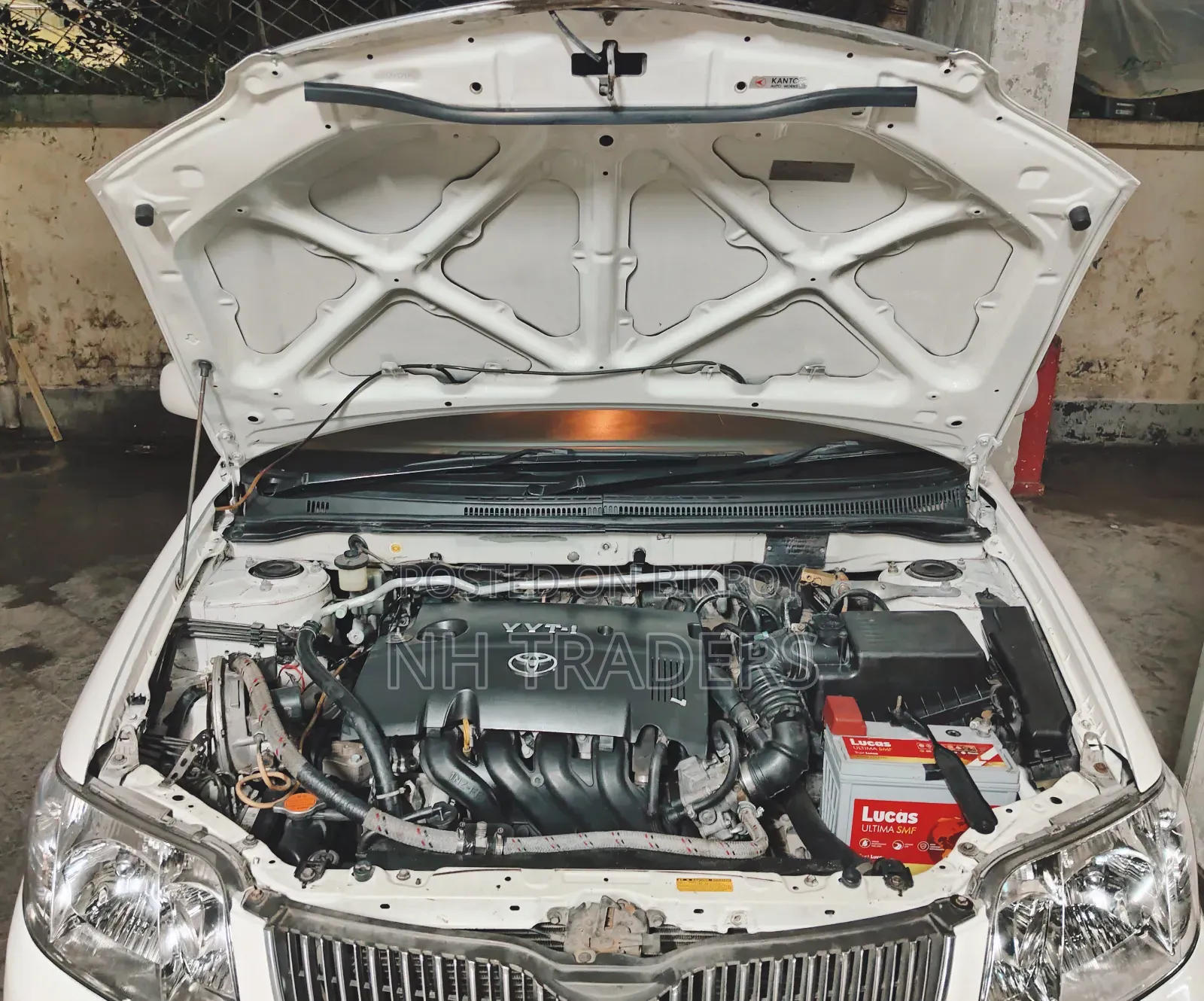 Toyota Corolla 2004 White